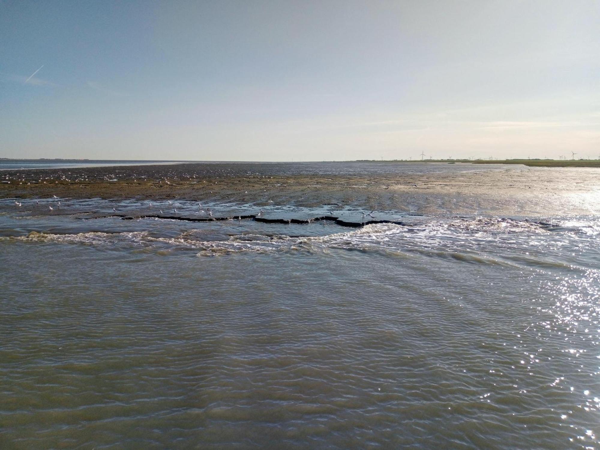 Drei-Insel-Blick Neßmersiel Bagian luar foto