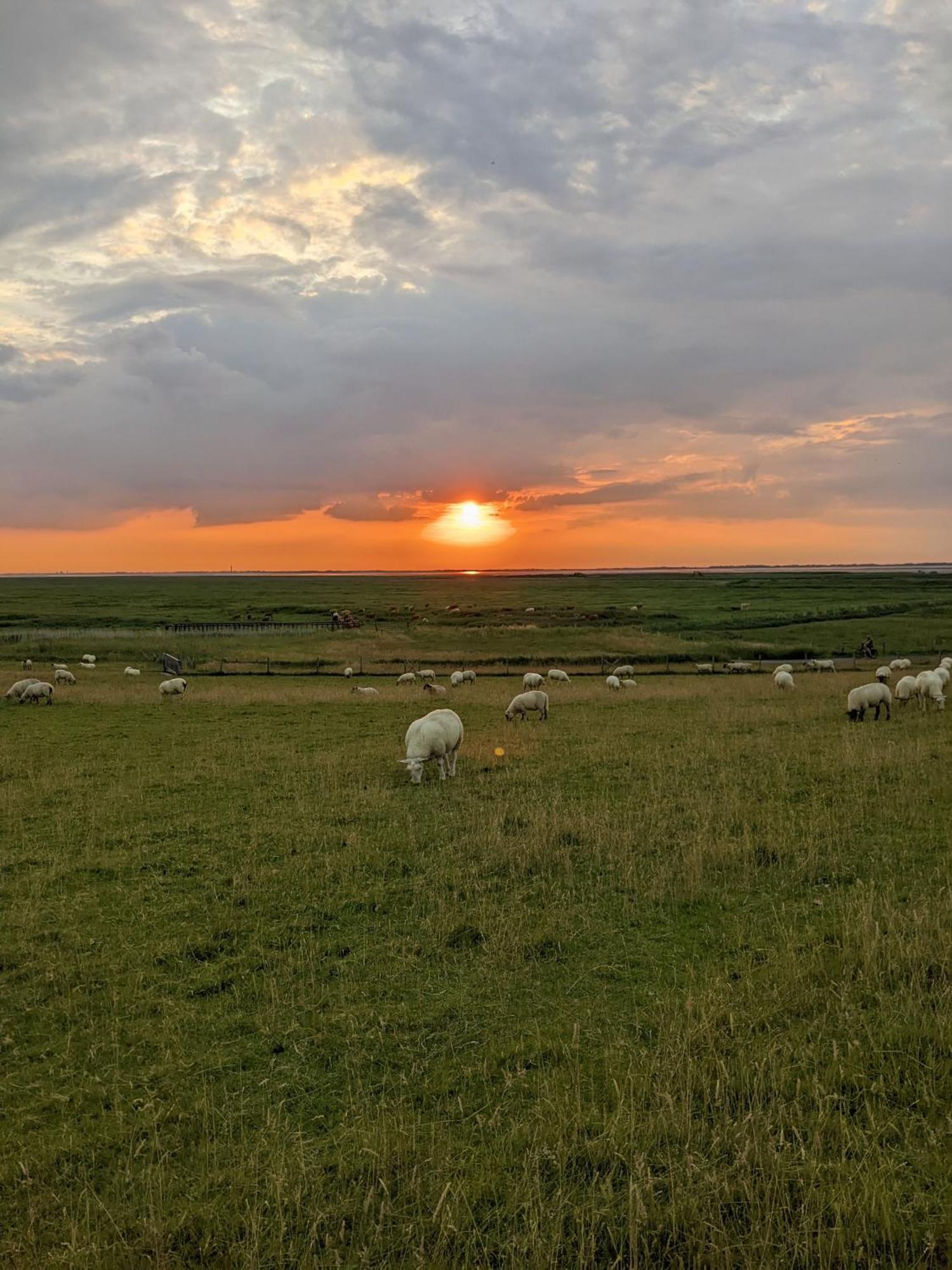 Drei-Insel-Blick Neßmersiel Bagian luar foto