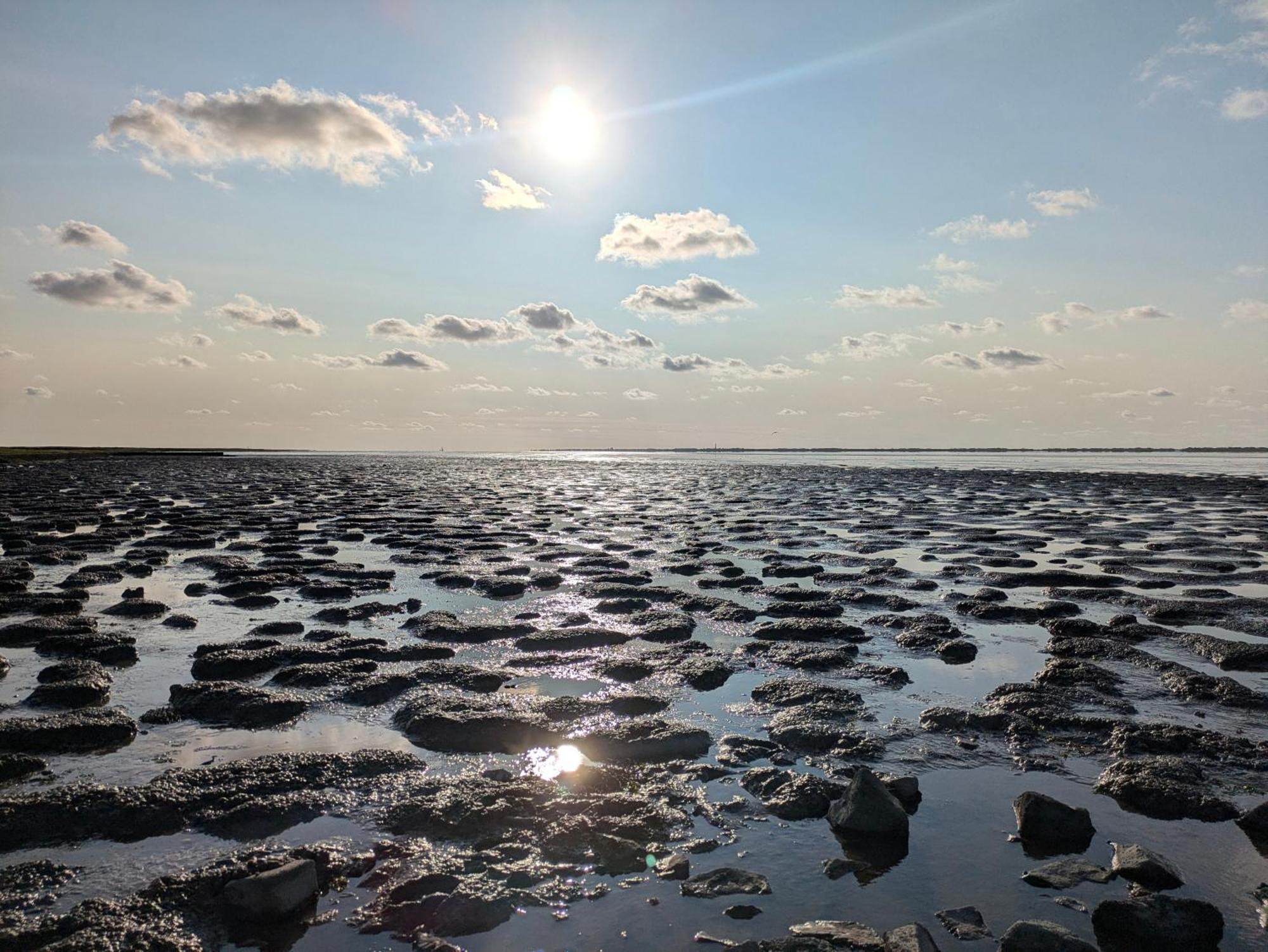 Drei-Insel-Blick Neßmersiel Bagian luar foto